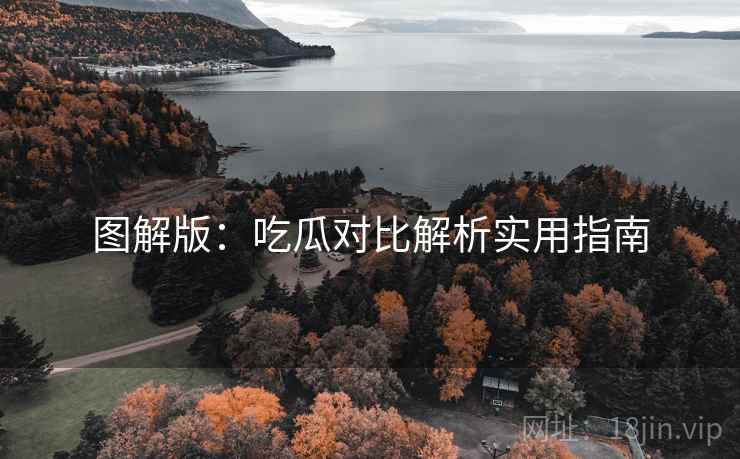 图解版：吃瓜对比解析实用指南