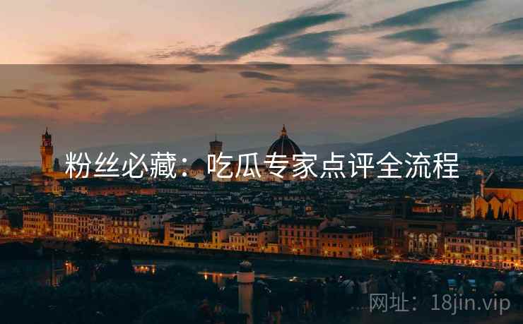 粉丝必藏：吃瓜专家点评全流程