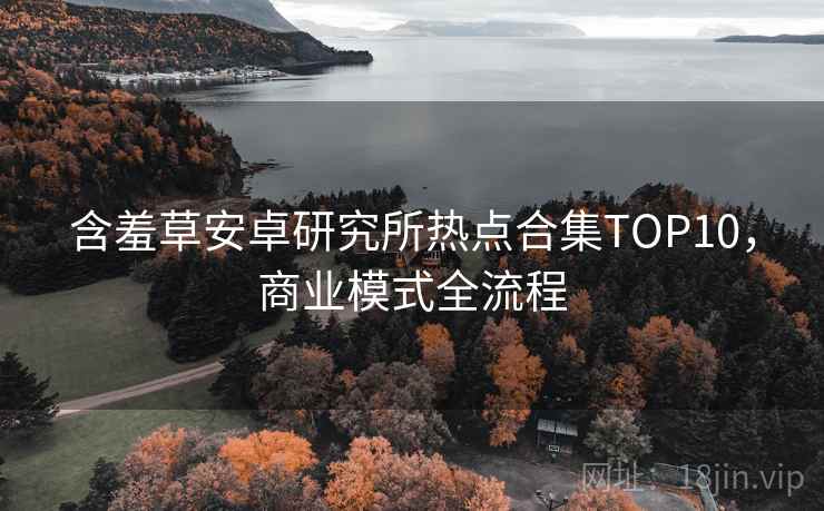 含羞草安卓研究所热点合集TOP10，商业模式全流程