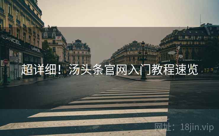 超详细！汤头条官网入门教程速览
