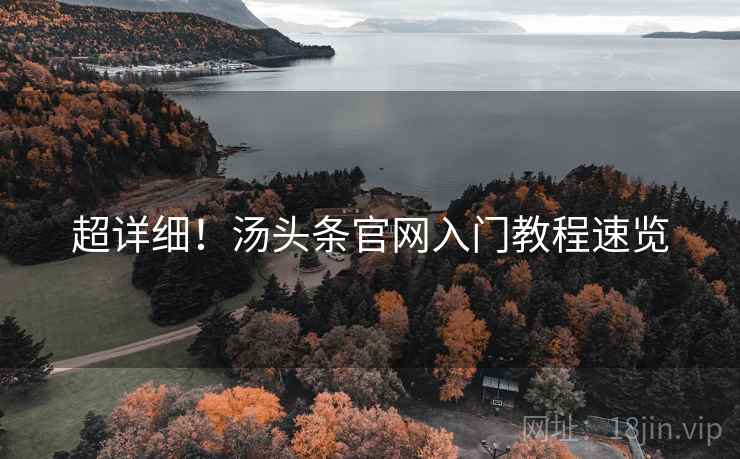 超详细！汤头条官网入门教程速览
