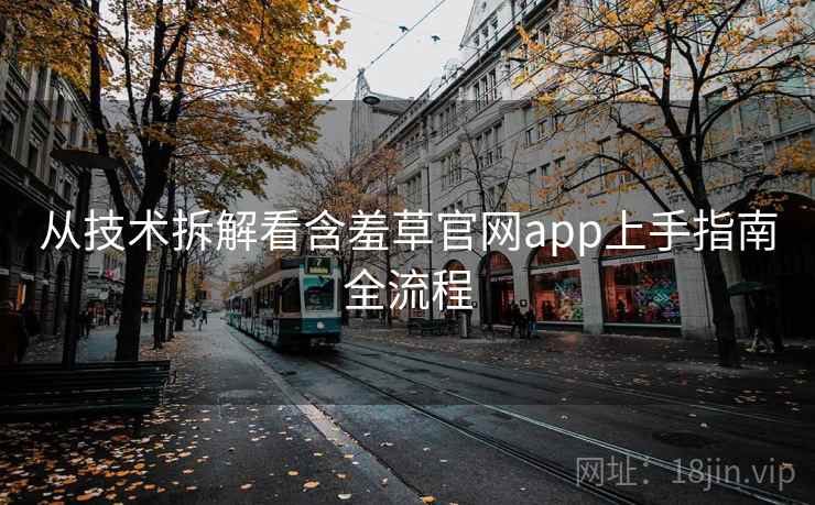 从技术拆解看含羞草官网app上手指南全流程