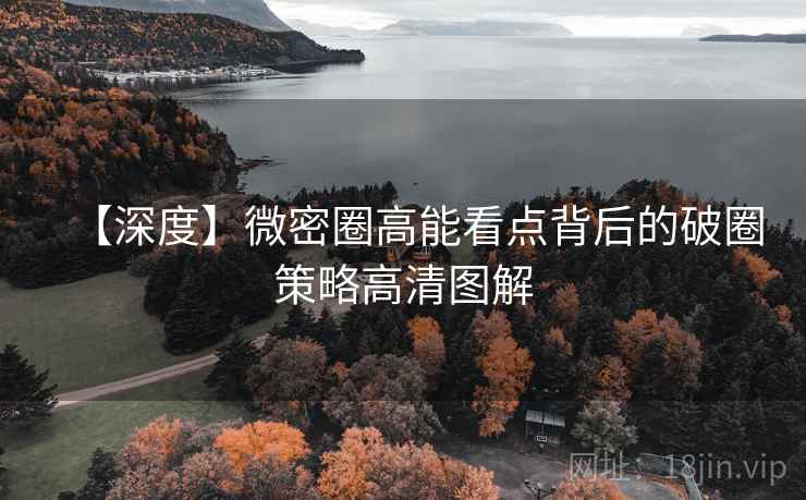 【深度】微密圈高能看点背后的破圈策略高清图解