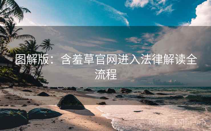 图解版：含羞草官网进入法律解读全流程