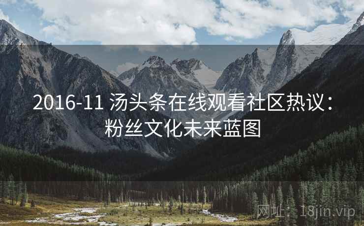 2016-11 汤头条在线观看社区热议：粉丝文化未来蓝图