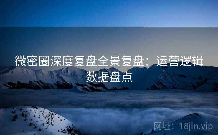 微密圈深度复盘全景复盘：运营逻辑数据盘点